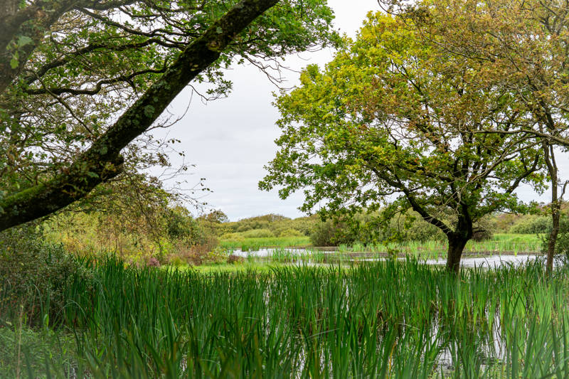 Wandelen_in_Zwanenwater.